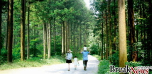 전남도, ‘44개 편백숲길’ 명소 추천