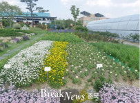 제천시, 치유형 테마정원 색색이 꽃단장