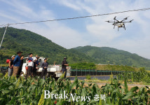 괴산군 4-H연합회, 드론 활용 병해충 방제 시연