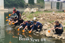 단양군-충북내수면산업연구소, 어족자원 증대 뱀장어 치어 방류