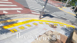 충주시, 초등학교 주변 횡단보도 67곳 노란발자국 설치