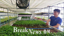 센텔라병풀농원 충주에 병풀 특성화 지역만들고 싶다