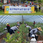 광주시 북구체육회, 임직원들 농촌일손돕기 ‘구슬땀’