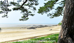 고창군 구시포 ・ 동호 해수욕장 9일 개장