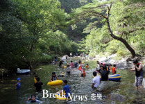 단양군, 여름철 무더위 식힐 청정계곡 인기
