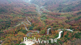 영동군,  24굽이 자연의 숨결 품은 도마령 관광명소 추진