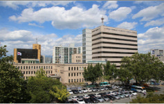 대구시청 여자핸드볼팀 인권침해 상당 부분 확인