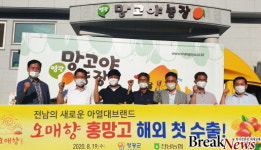 전남농협, 아열대브랜드 오매향 홍망고 해외 첫 수출