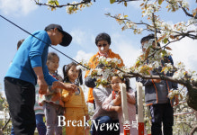 영동군 힐링사업소, 교육부 ‘교육기부 진로체험 인증기관’ 선정