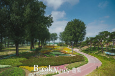 증평 보강천 미루나무 숲, 가을 풍경 조성 준비 마무리