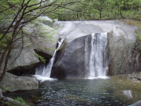 코로나19 사태, 산의 숲에서 희망을 찾아야...