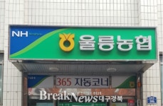 연이은 태풍피해 겪은 울릉도, 울릉농협 조합장 행보 논란