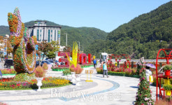 단양군, 수변거리 불법 현수막 정비 완료