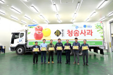 노란사과 있다? 없다? 청송 ‘황금진’ 출하