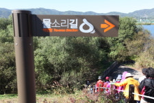 ‘수도권 언택트 여행지’ 자연과 하나되는 길, 양평 물소리길을 걷다