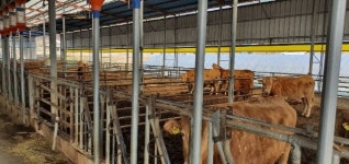 구미시, 무허가 축사 적법화 후속조치 실시