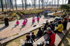 증평군 보강천 미루나무 숲, 음악과 함께 가을 낭만 선사