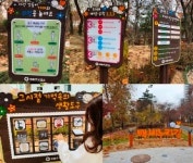 부평구, 인천 최초 치매인식개선 ‘백세누리길’ 조성