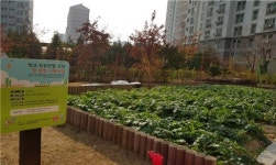 남양주시 한별중학교, 학생들이 직접 기른 농작물 취약계층에 전달