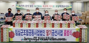 임실N딸기소비자 만나러 Go Go!