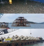 인천 옹진군,  올해에도 지속 가능한 수산자원조성사업 추진