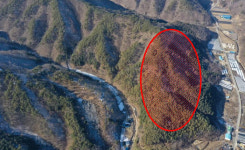 영동군, SK 연수원 학산면 도덕리 일원 유치