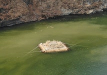 달서구, 도원지에 수달생태섬 조성