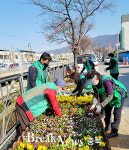 연수동·성내충인동, 봄철 꽃길 가꾸기 사업 본격 추진