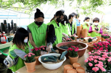 옥천군보건소 치매안심센터, 치매환자 반려식물 키우기 운영
