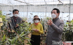 김영록 전남지사, 장흥 애플망고 재배 현장 살펴