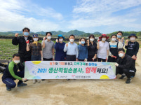 괴산군청 공무원들, 휴일 반납 농가 일손돕기 봉사