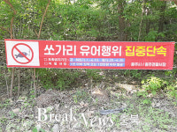 충주시, 쏘가리 포획 금지 기간 위반행위 단속