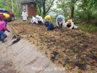 안성시 금광면 주민자치위원회, ‘금광호수개발 염원’ 꽃밭 조성