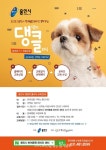 용인시, 반려동물 문화교실 ‘댕댕이클리닉’ 운영