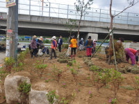 고령군 성산면, 아름다운 마을 콘테스트 사업 참여