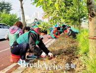 칠금금릉동새마을협의회, 충원대로 가로변에 바늘꽃 식재