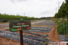 전남대 농업실습교육원.한전KPS 주말농장 개장