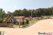 전남도,6월 청정 전남 여행지에서 지친 심신 달래세요