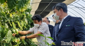 전남농협, 신소득 아열대농산물 재배농가 현장경영