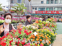 충주시, 충주천변 희망 꽃 전시회 개최