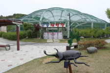 영동군, 과일나라테마공원 곤충체험장 새단장
