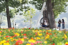 가평장학관 입사생, 자라섬 남도 꽃 정원 참여 행사