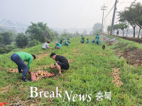 충주 목행용탄동새마을회, 사랑 나눔 양파 수확