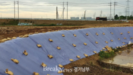경기도, 우기.폭염 대비 택지 등 공사현장 126건 적발