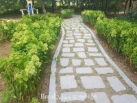 의정부시 호원1동, 민선 7기 역점추진 사업 The G&B City 프로젝트 완성