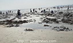 고창 구시포ㆍ동호 해수욕장 개장