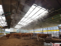 해남군 “가축 폭염 피해 막아라”지원 총력