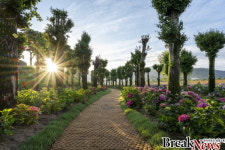 장성 황룡강 은행나무 수국길, 적극행정 우수사례 선정!