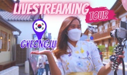 온라인 플랫폼 연계 라이브 경북 투어상품 인기