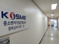 중소벤처기업진흥공단 경북남부지부, 기업진단 사업 운영